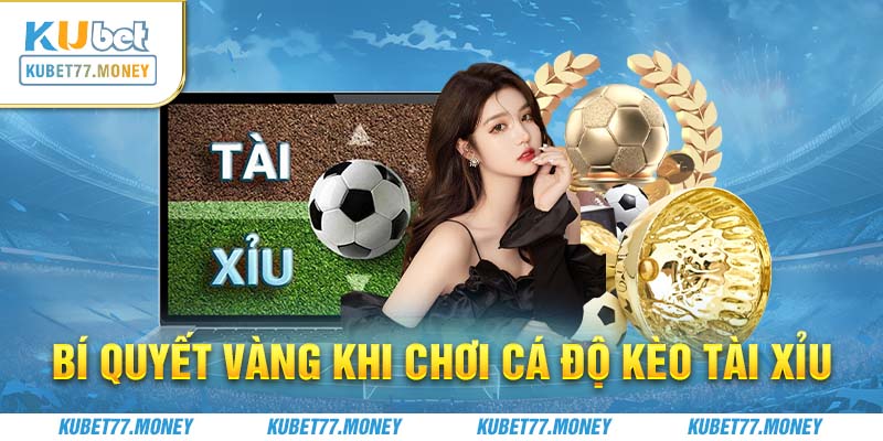 Bí quyết vàng khi chơi cá độ kèo Tài Xỉu